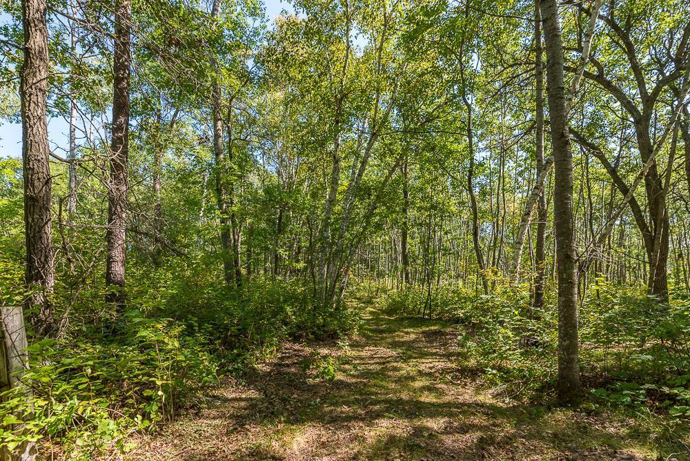 Tract B Tbd Little Pine Road Property Photo 9