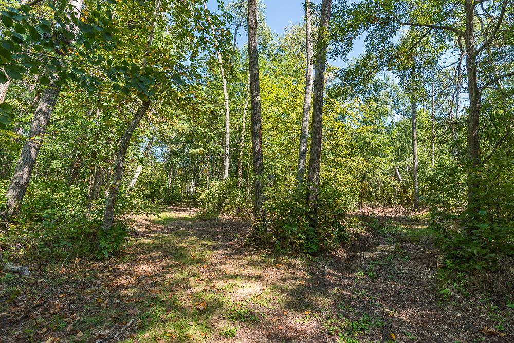 Tract B Tbd Little Pine Road Property Photo 10