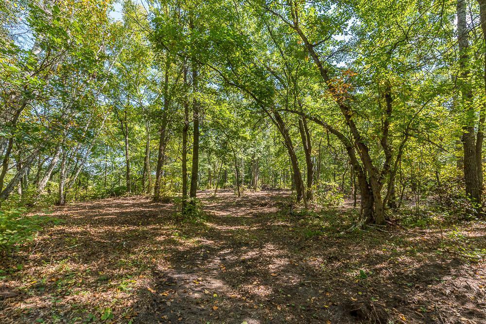 Tract B Tbd Little Pine Road Property Photo 11