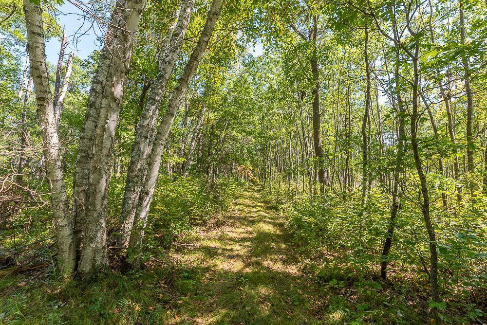 Tract B Tbd Little Pine Road Property Photo 12