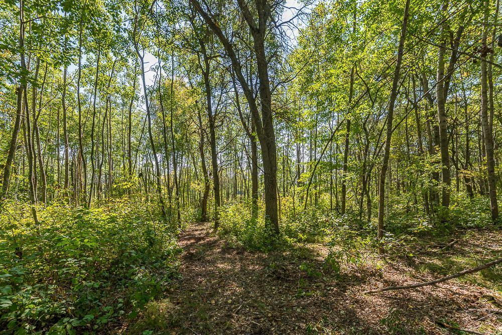 Tract B Tbd Little Pine Road Property Photo 13