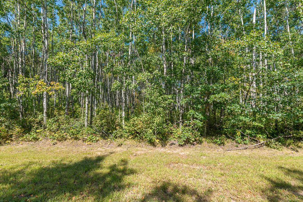 Tract B Tbd Little Pine Road Property Photo 15