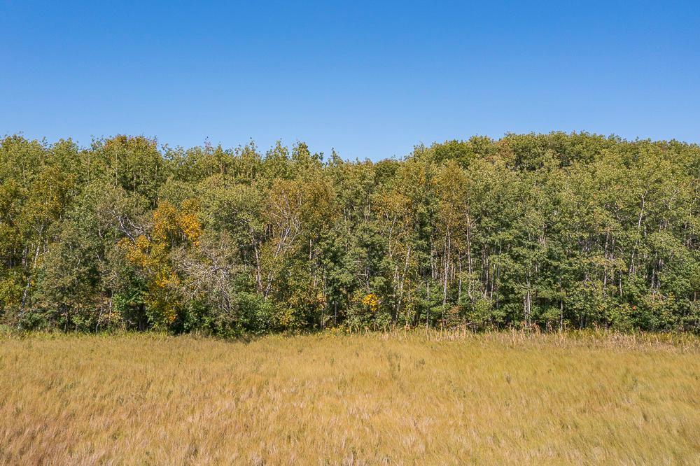 Tract B Tbd Little Pine Road Property Photo 16