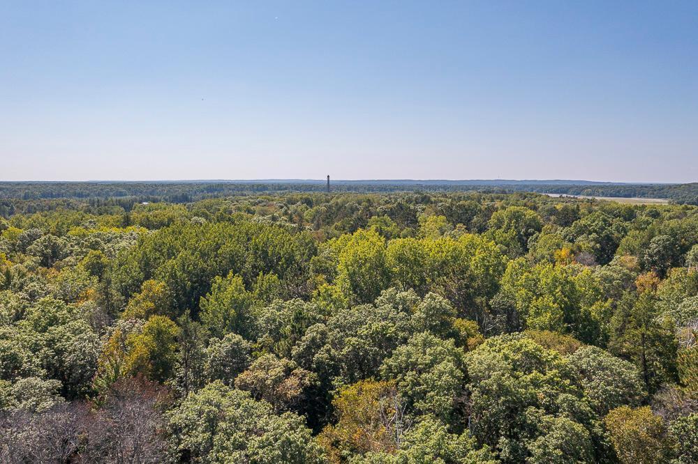 Tract B Tbd Little Pine Road Property Photo 19