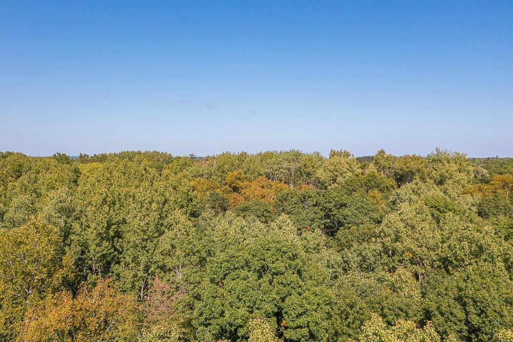 Tract B Tbd Little Pine Road Property Photo 22