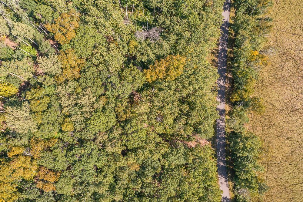 Tract C Tbd Little Pine Road Property Photo 2