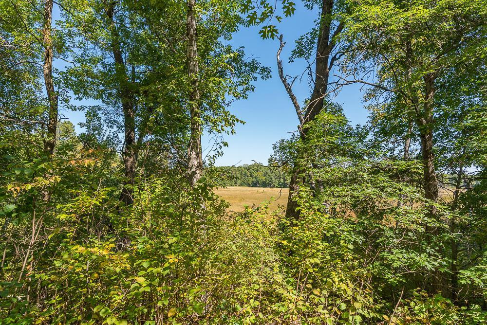 Tract C Tbd Little Pine Road Property Photo 4