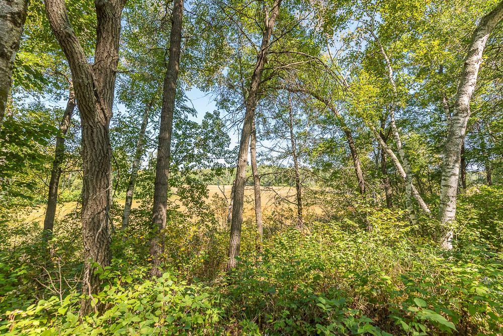 Tract C Tbd Little Pine Road Property Photo 5