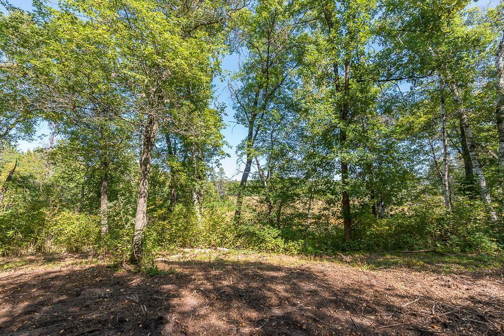Tract C Tbd Little Pine Road Property Photo 6