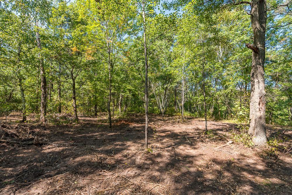 Tract C Tbd Little Pine Road Property Photo 7