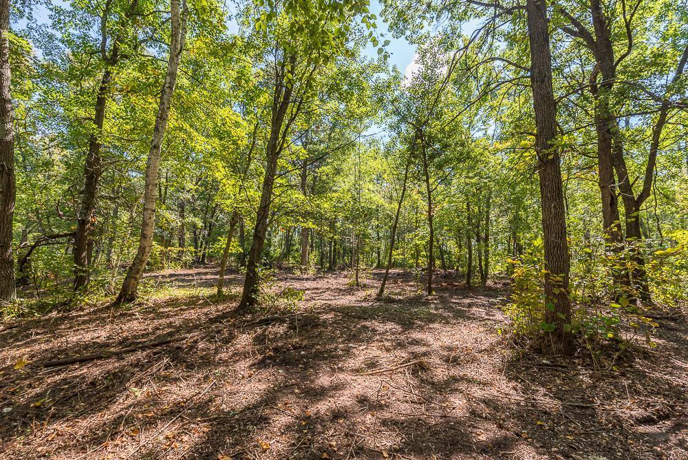 Tract C Tbd Little Pine Road Property Photo 8