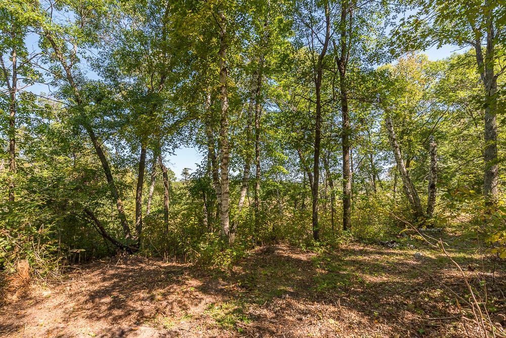 Tract C Tbd Little Pine Road Property Photo 10