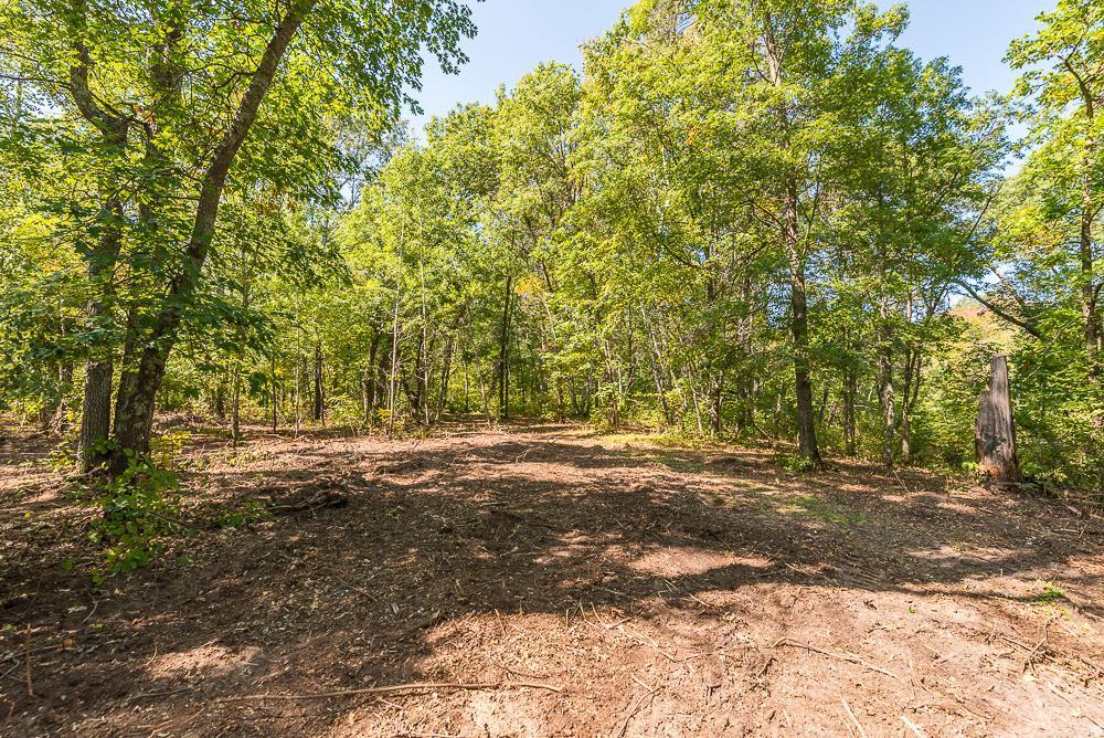 Tract C Tbd Little Pine Road Property Photo 11