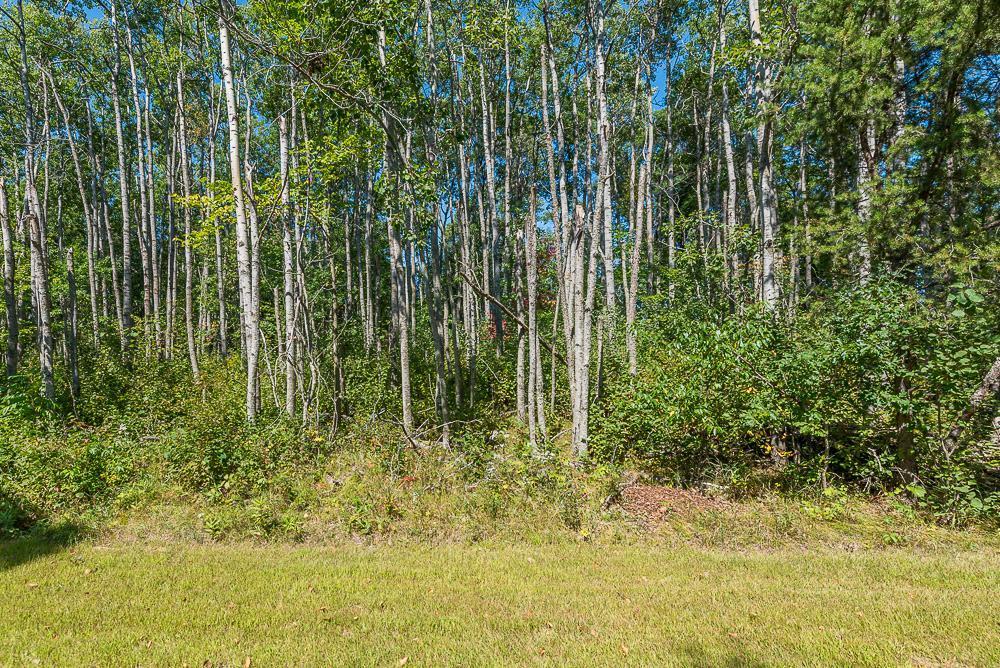 Tract C Tbd Little Pine Road Property Photo 12