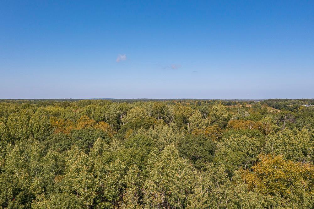 Tract C Tbd Little Pine Road Property Photo 17