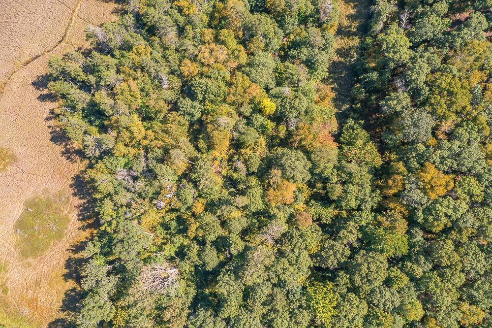 Tract C Tbd Little Pine Road Property Photo 20