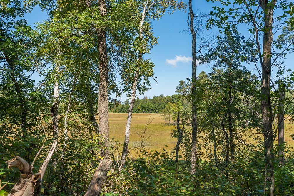 Tract D TBD Little Pine Road Property Photo 1