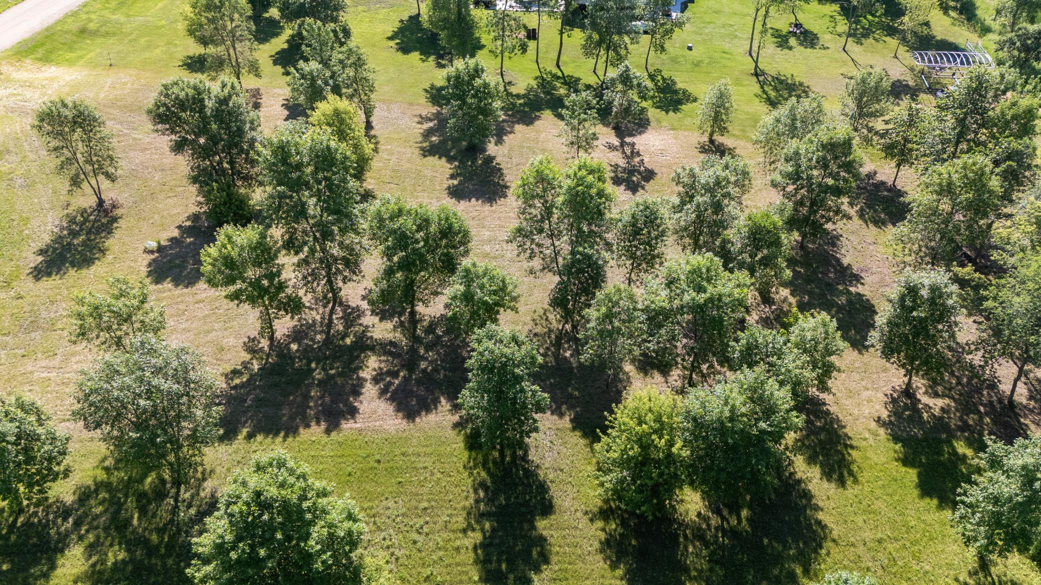 Tbd 405th Avenue Property Photo 15