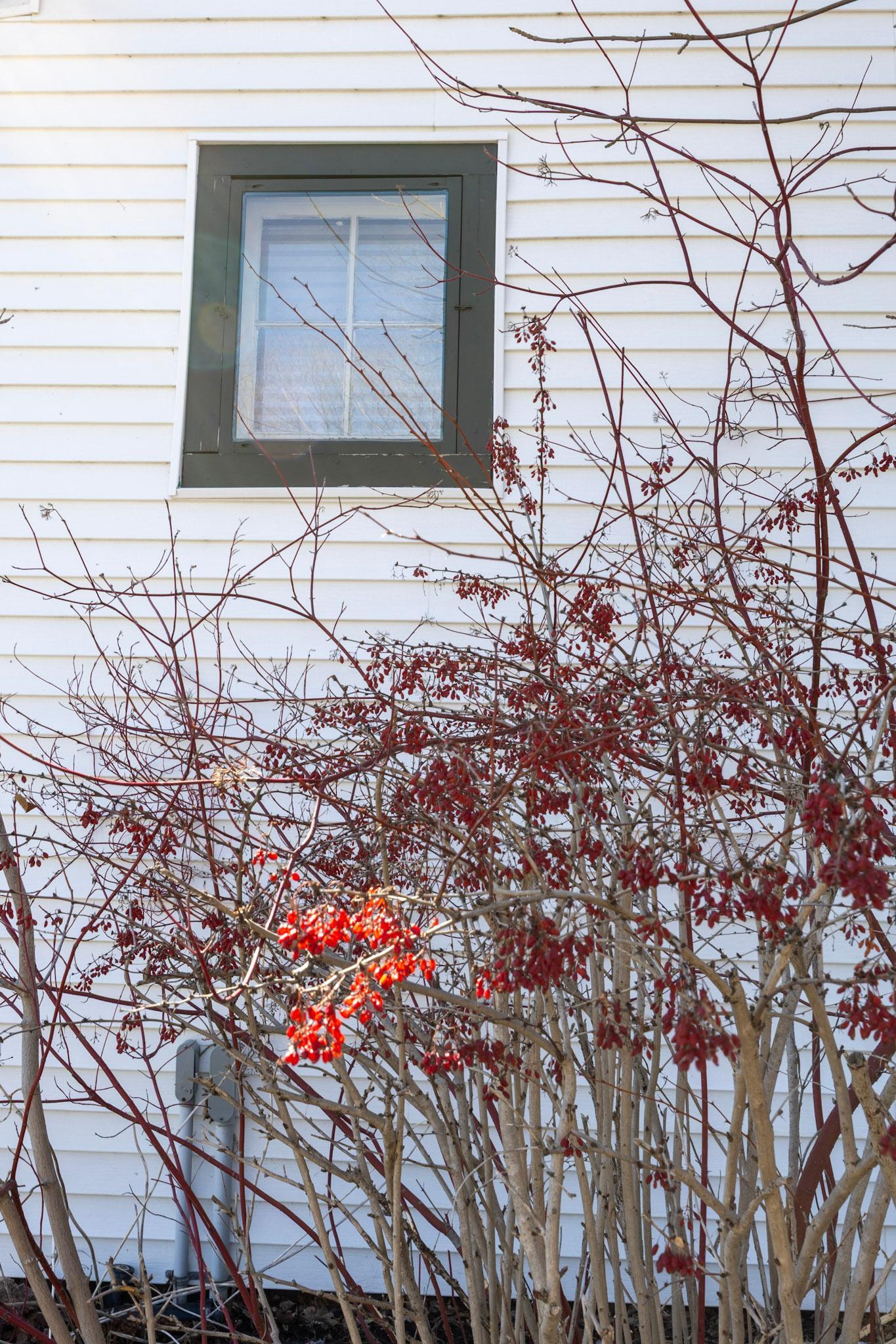 1812 E Shore Drive Property Photo 115
