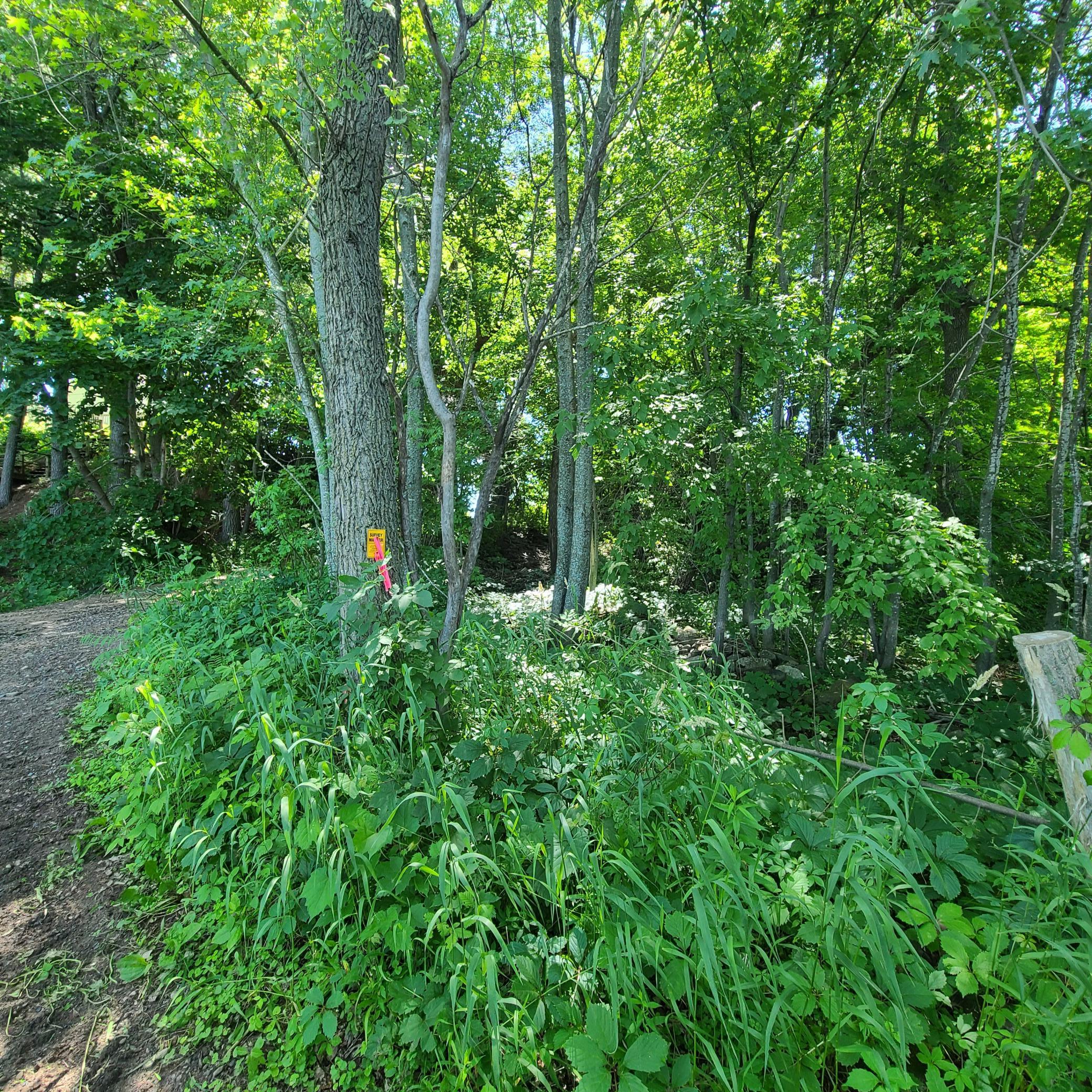 Tbd Sunset Trail Property Photo 5