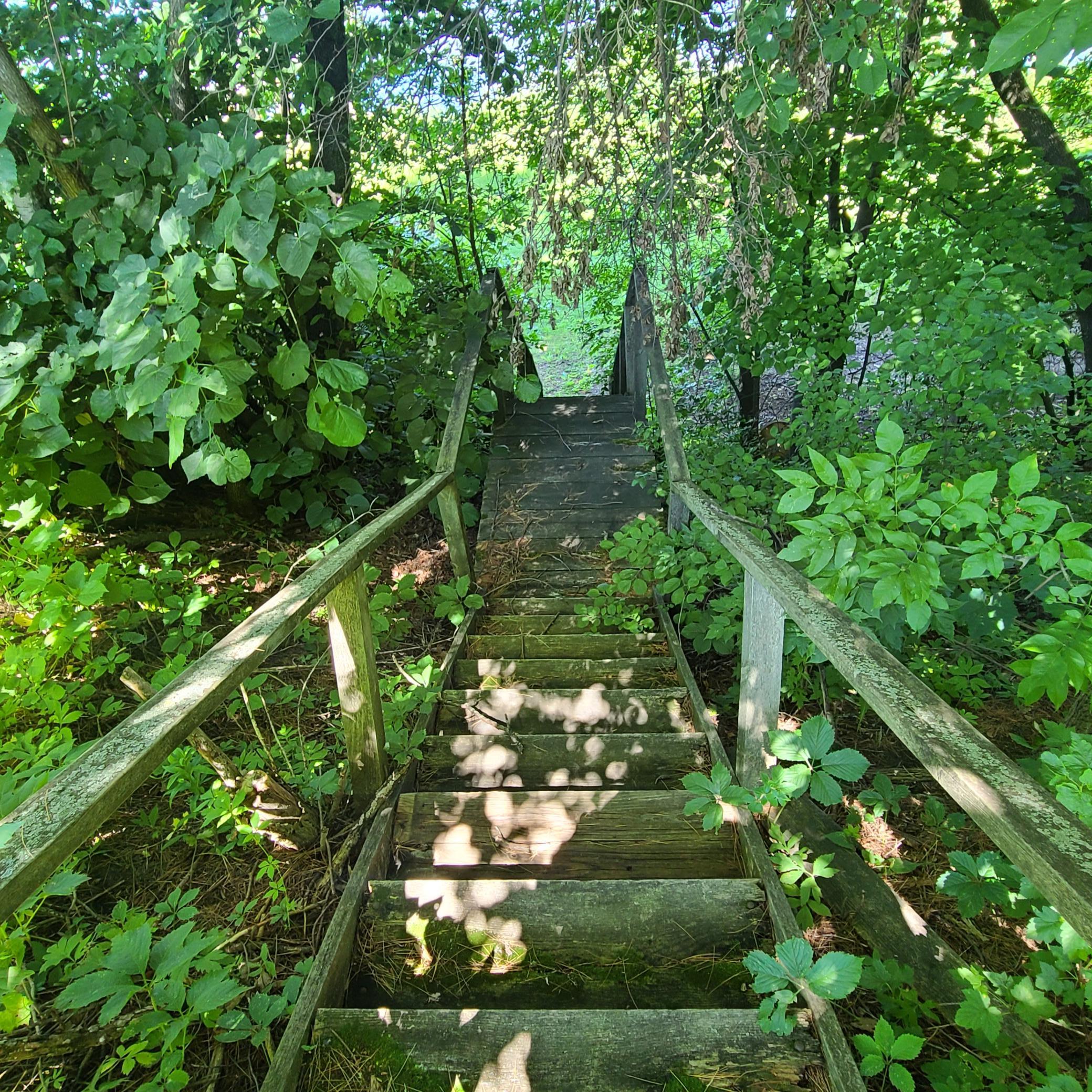 Tbd Sunset Trail Property Photo 9