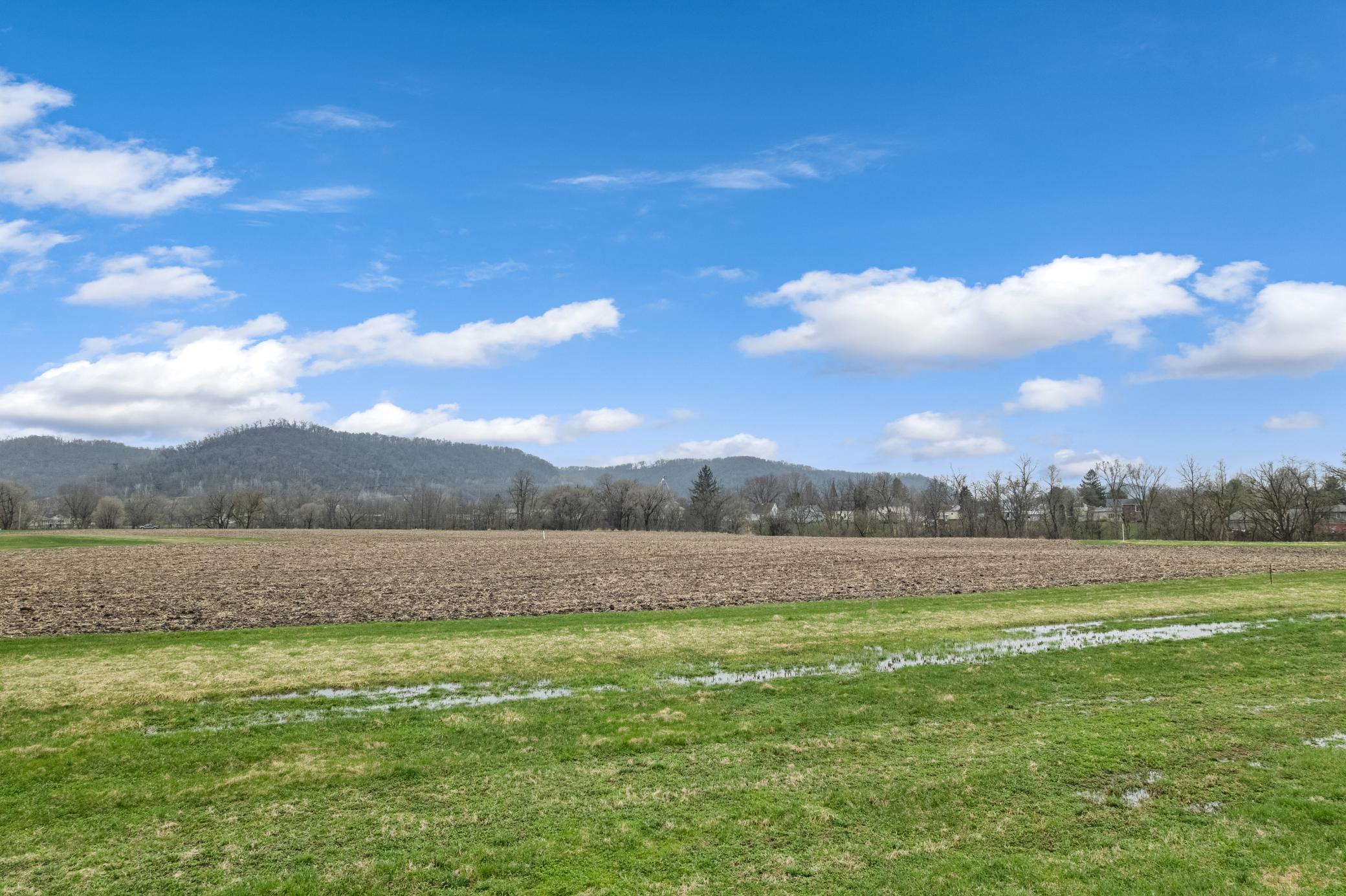 255 Pheasant Run Property Photo 9