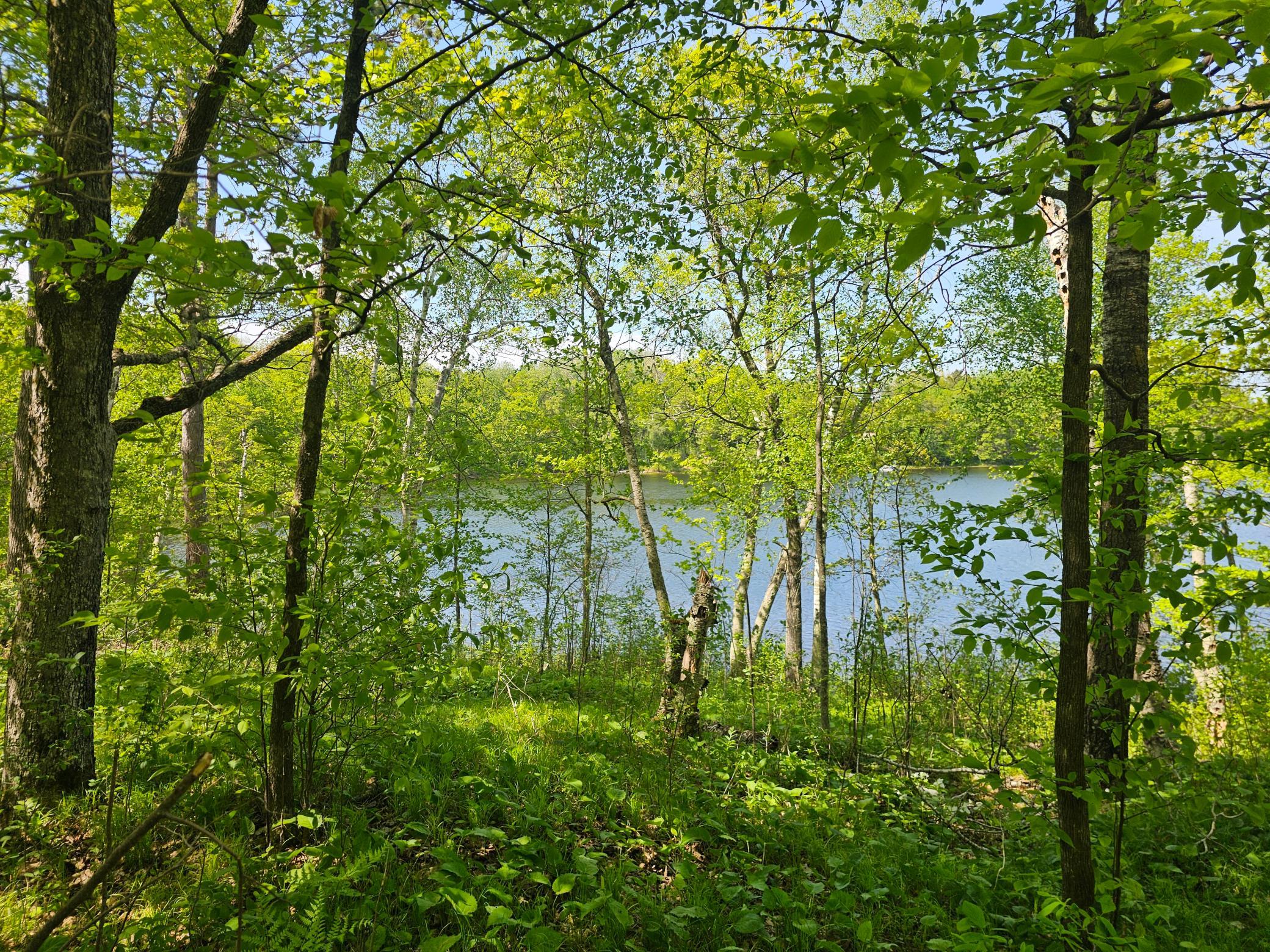 Lot 1 Blk 1 Swanson Road Property Photo 4