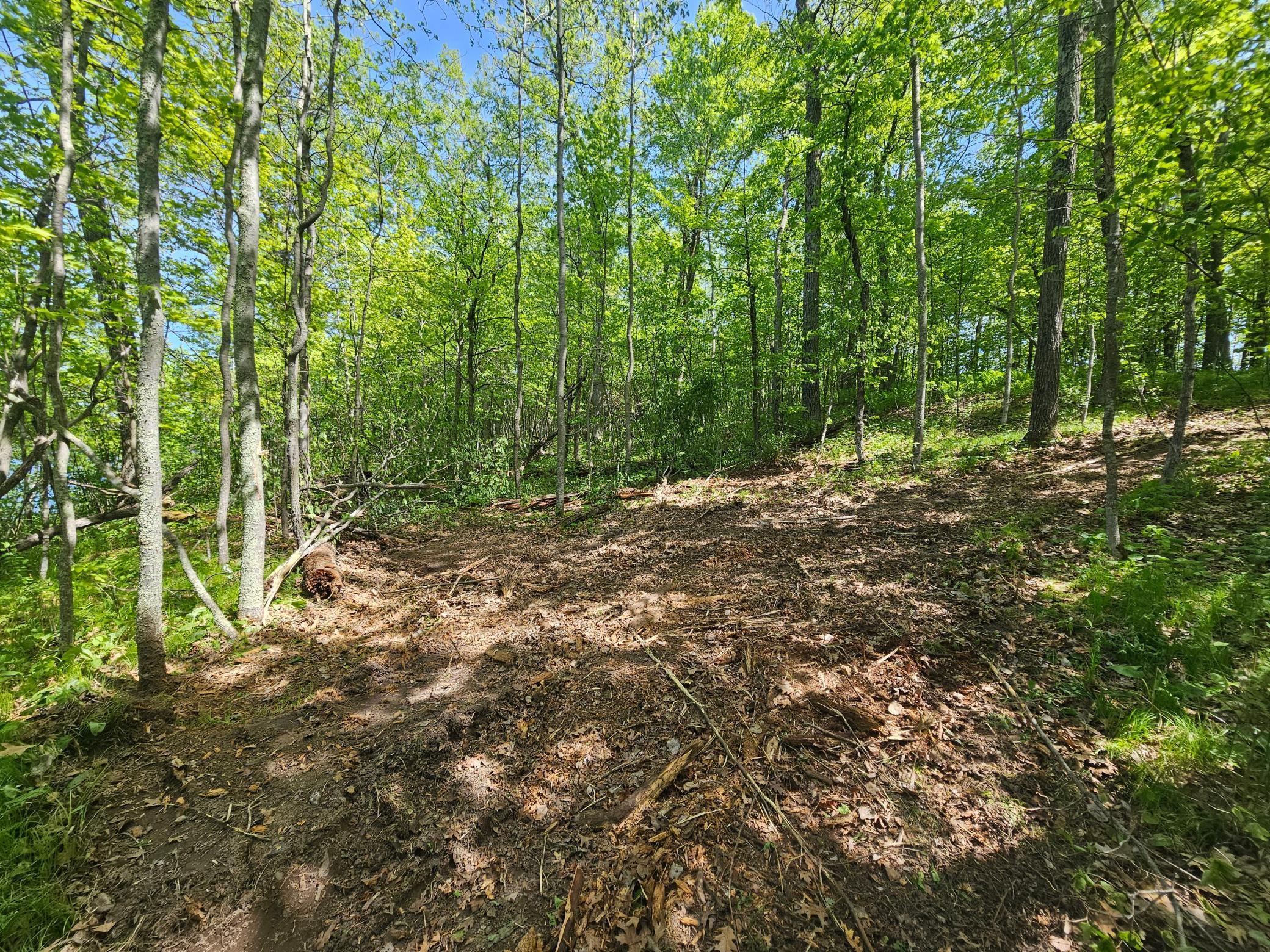 Lot 1 Blk 1 Swanson Road Property Photo 5