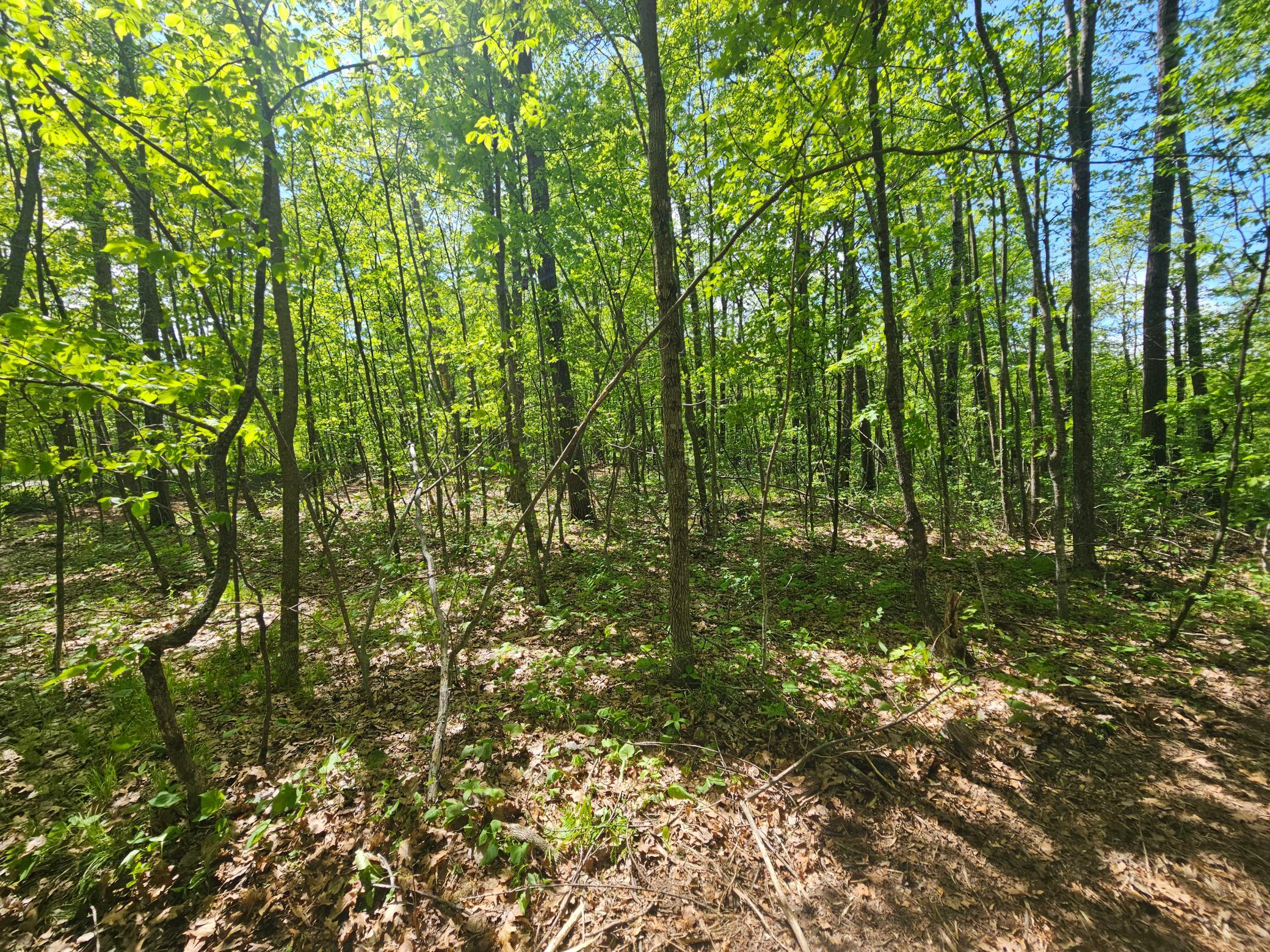 Lot 1 Blk 1 Swanson Road Property Photo 6