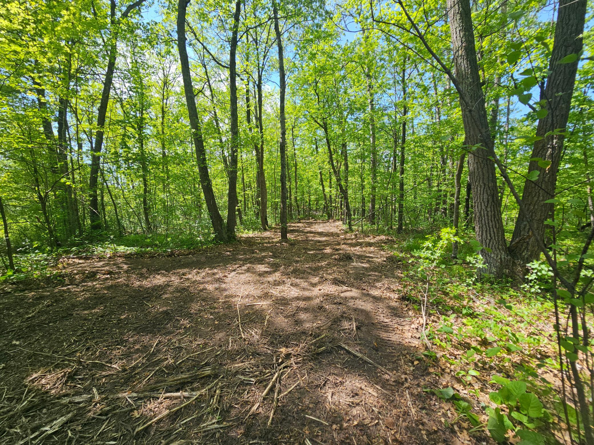Lot 1 Blk 1 Swanson Road Property Photo 7