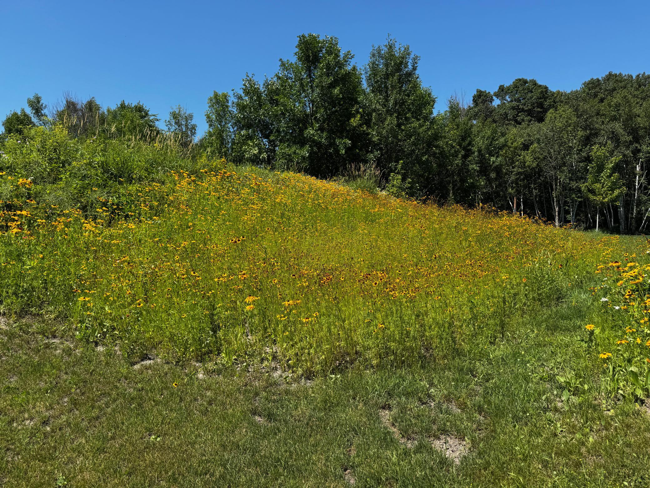 1302 Greentree Drive Property Photo 53