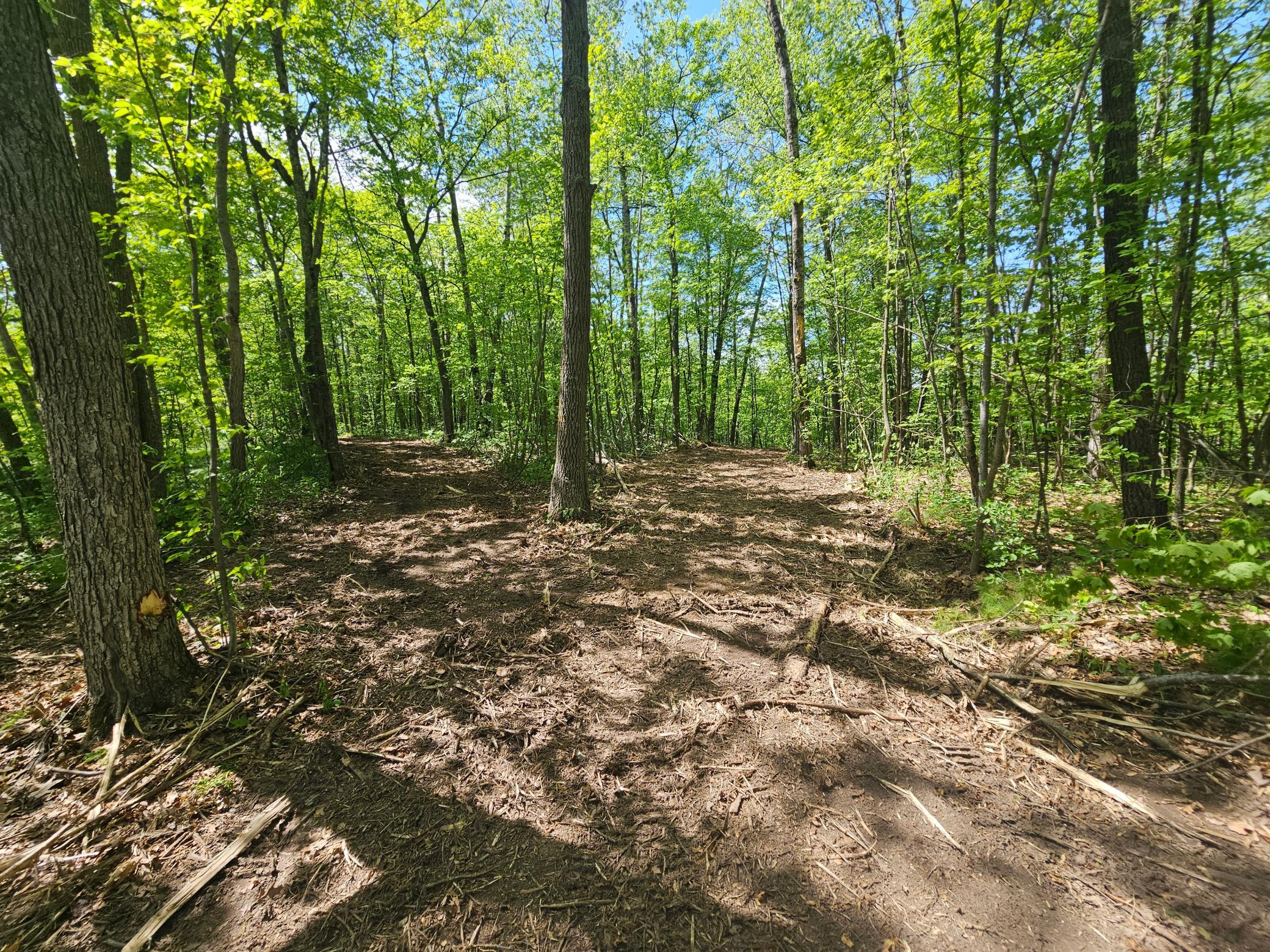 Lot 2 Blk 1 Swanson Road Property Photo 8