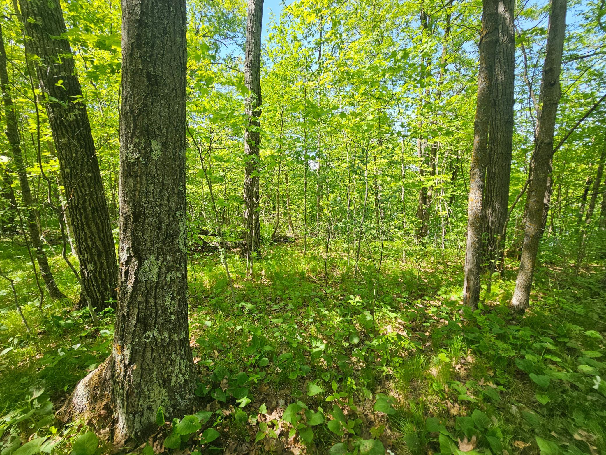 Lot 2 Blk 1 Swanson Road Property Photo 9