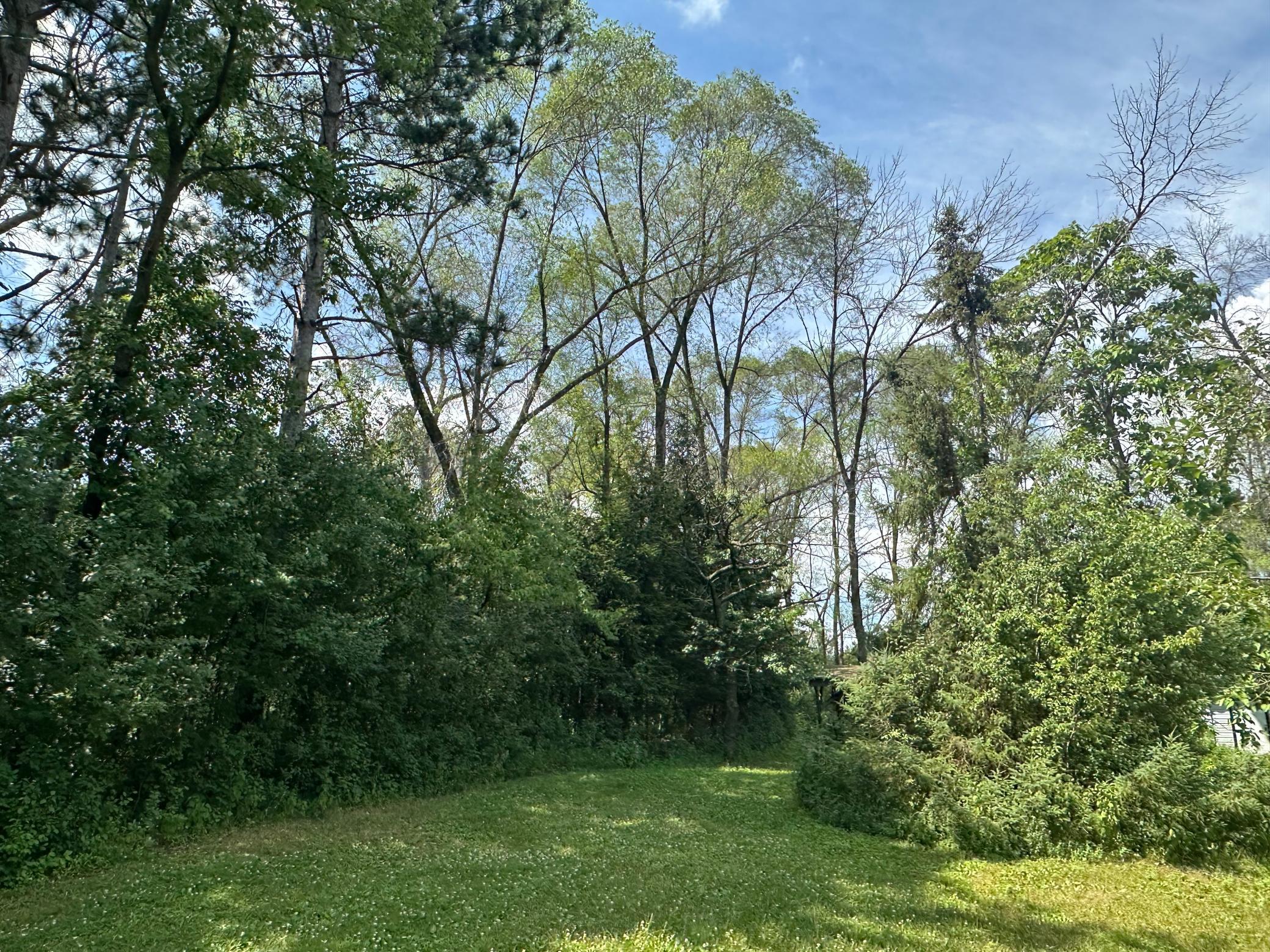 1206 Bunker Lake Boulevard Ne Property Photo 18