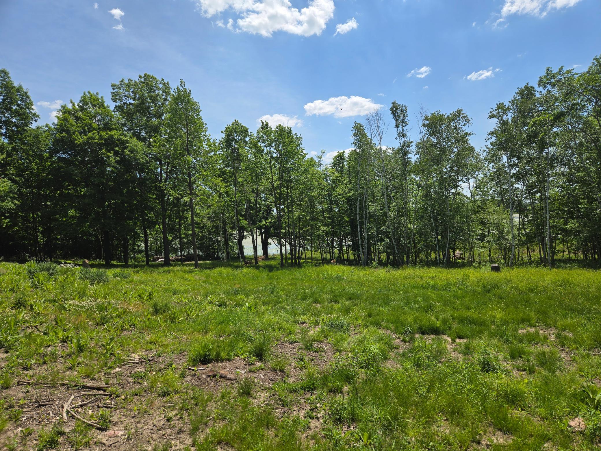 110 90th Avenue Property Photo 3
