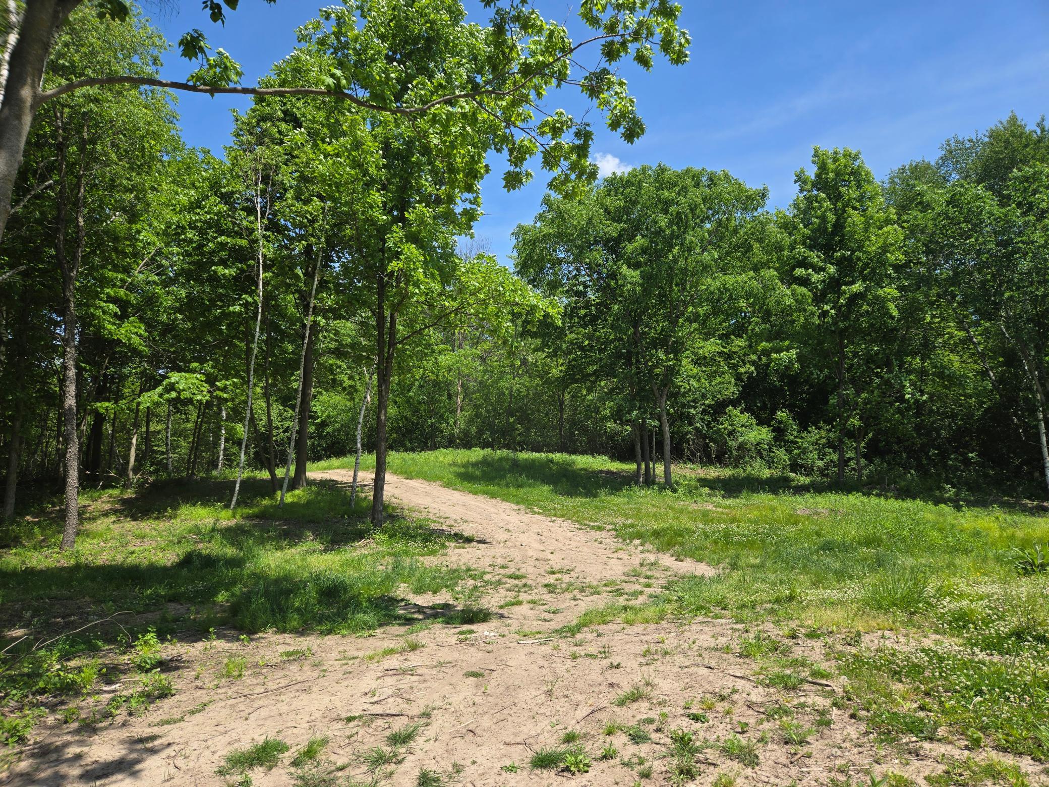 110 90th Avenue Property Photo 4