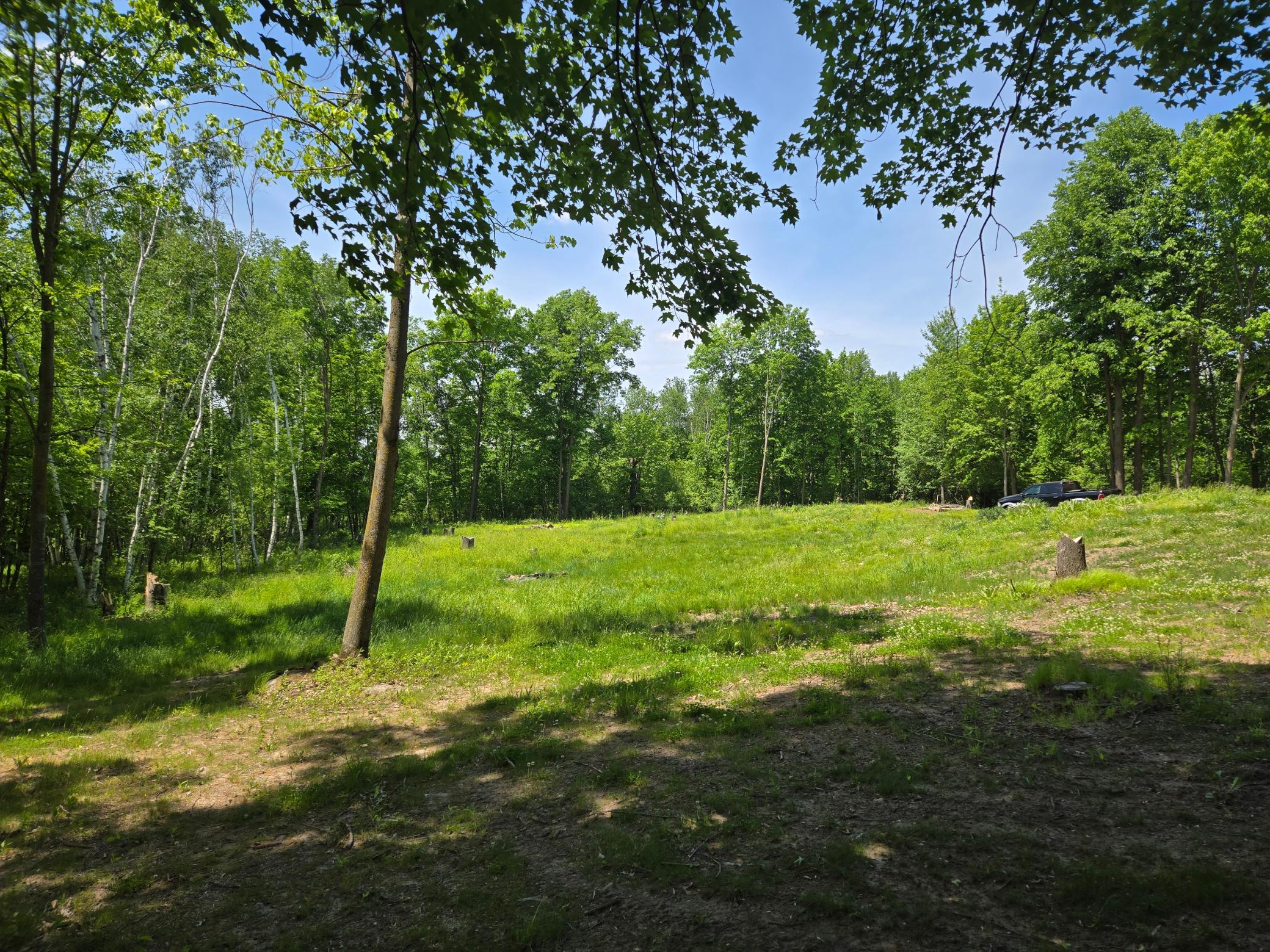 110 90th Avenue Property Photo 6