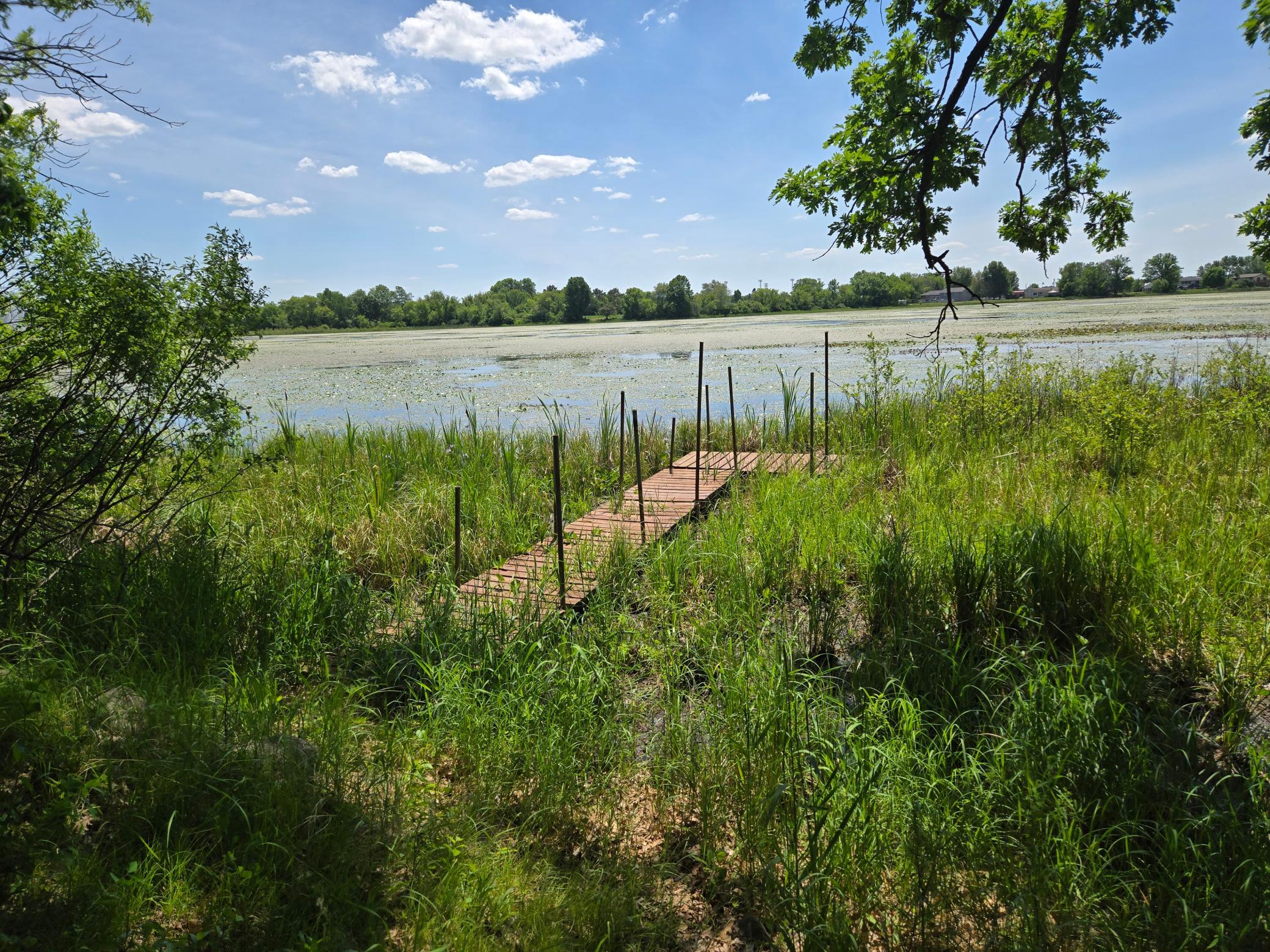 110 90th Avenue Property Photo 8