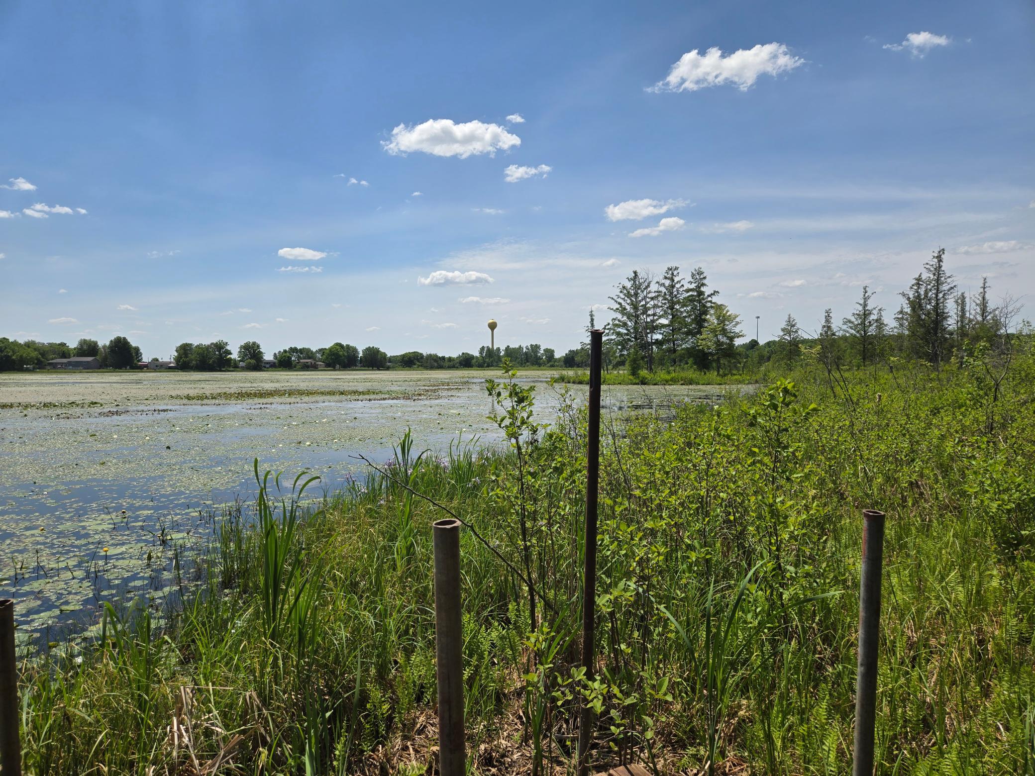 110 90th Avenue Property Photo 11