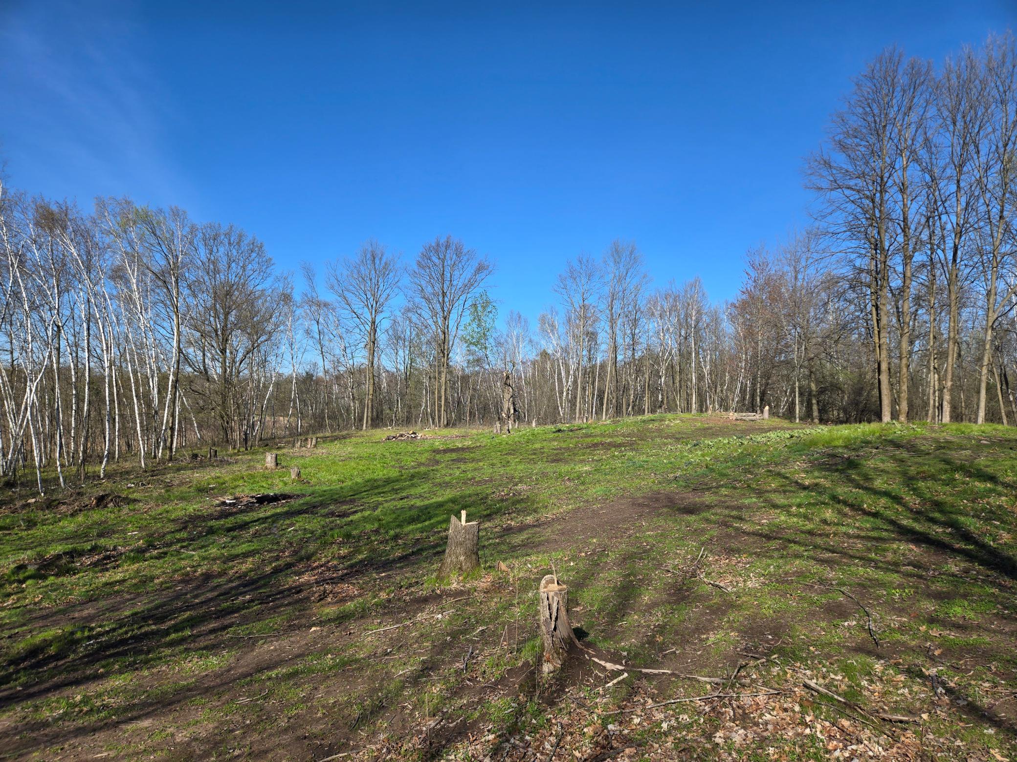 110 90th Avenue Property Photo 19