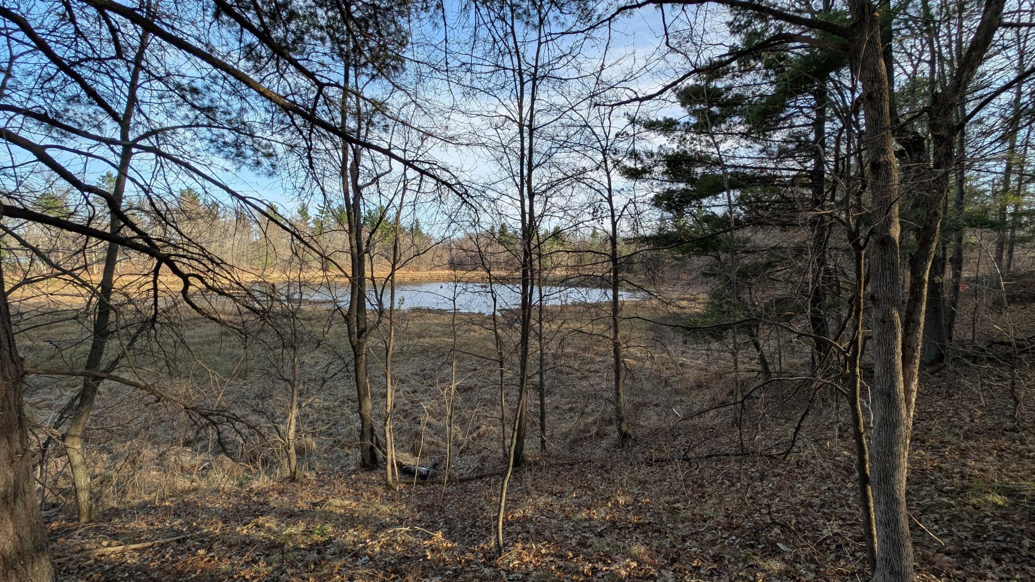 Tbd Honkers Hollow Property Photo 1