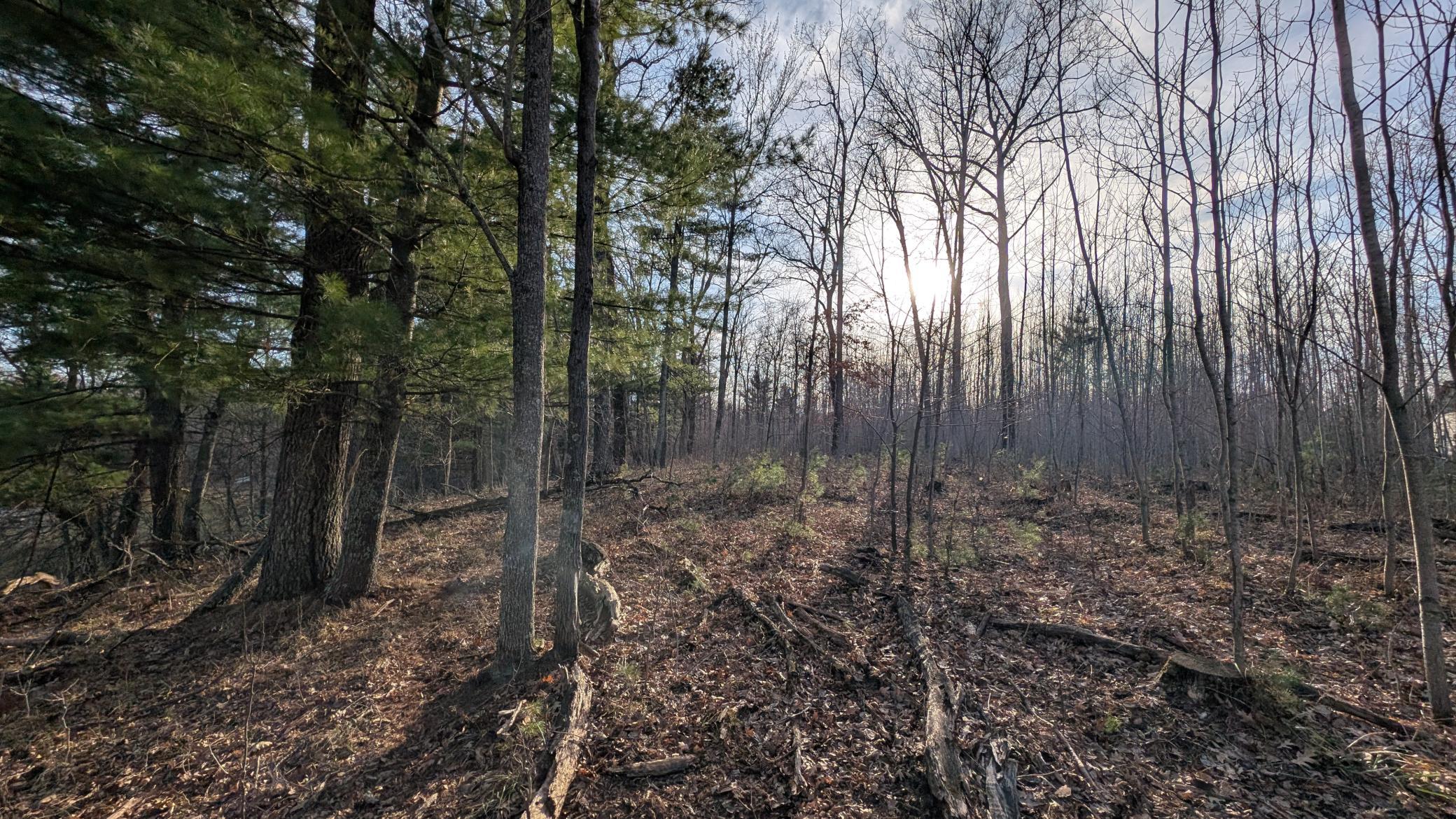 Tbd Honkers Hollow Property Photo 2