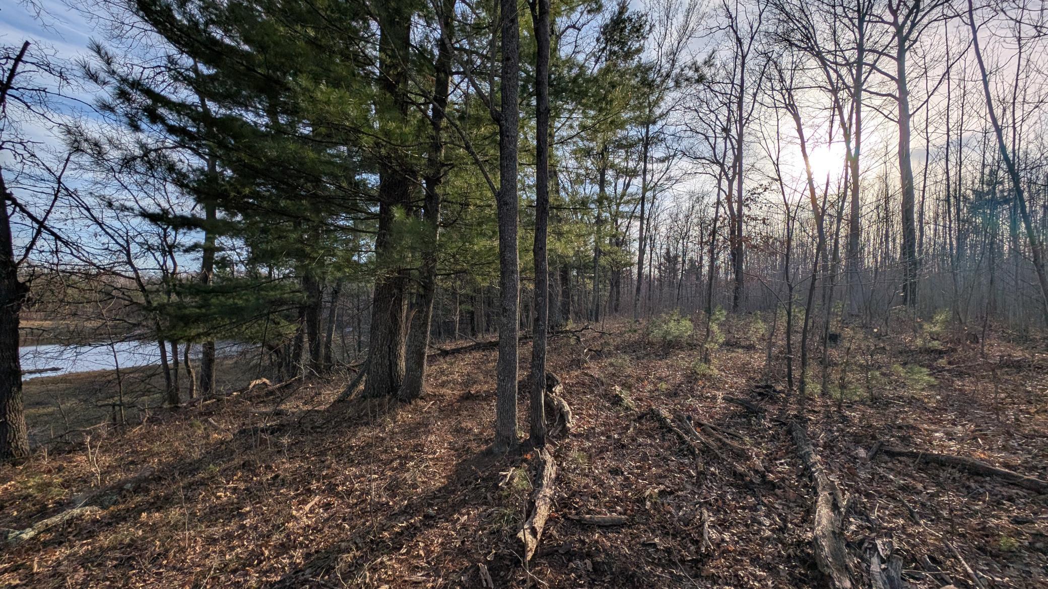 Tbd Honkers Hollow Property Photo 3