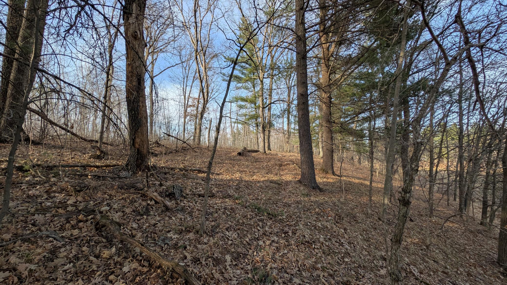 Tbd Honkers Hollow Property Photo 4