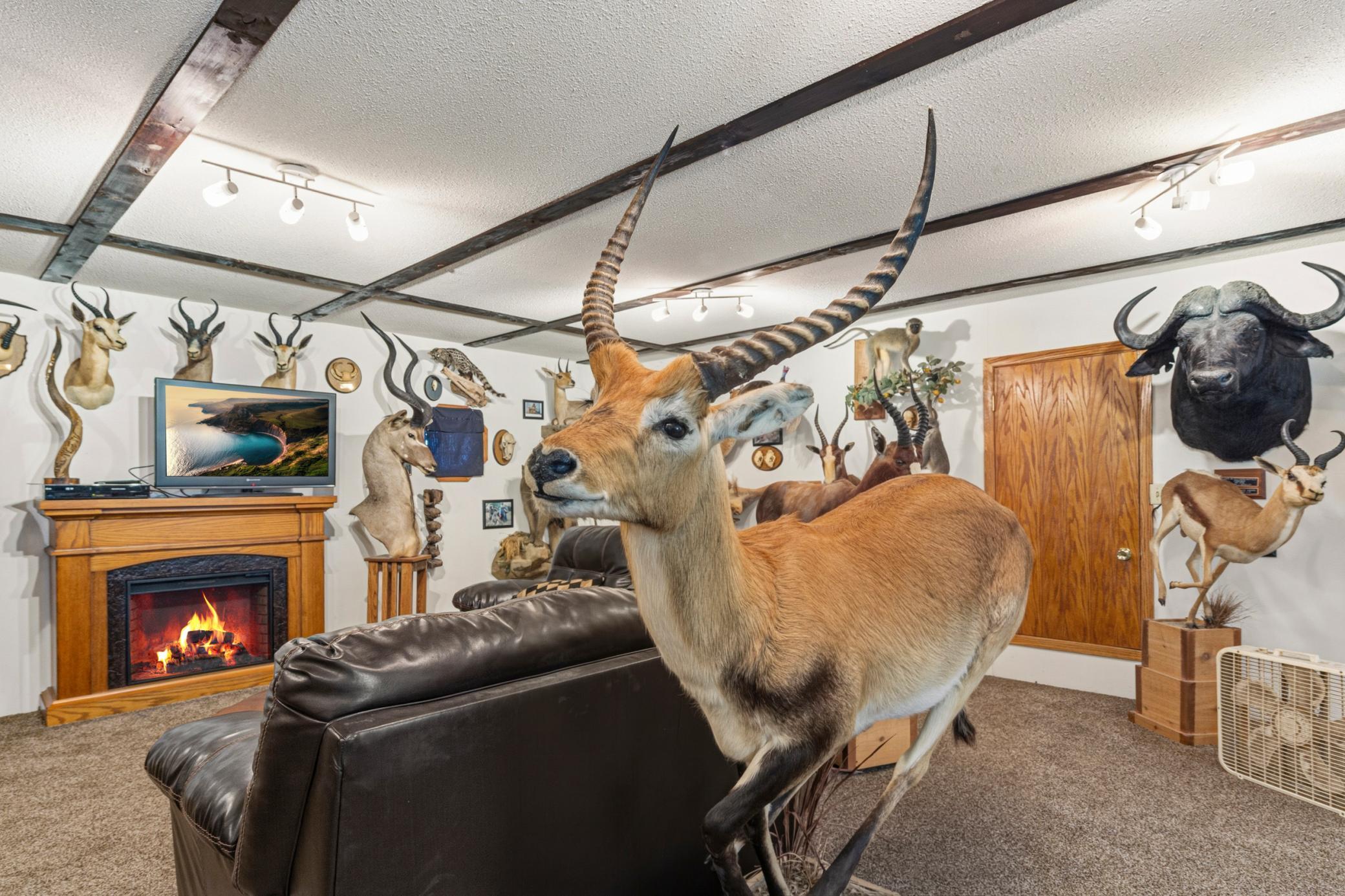 38630 Us Highway 169 Property Photo 58