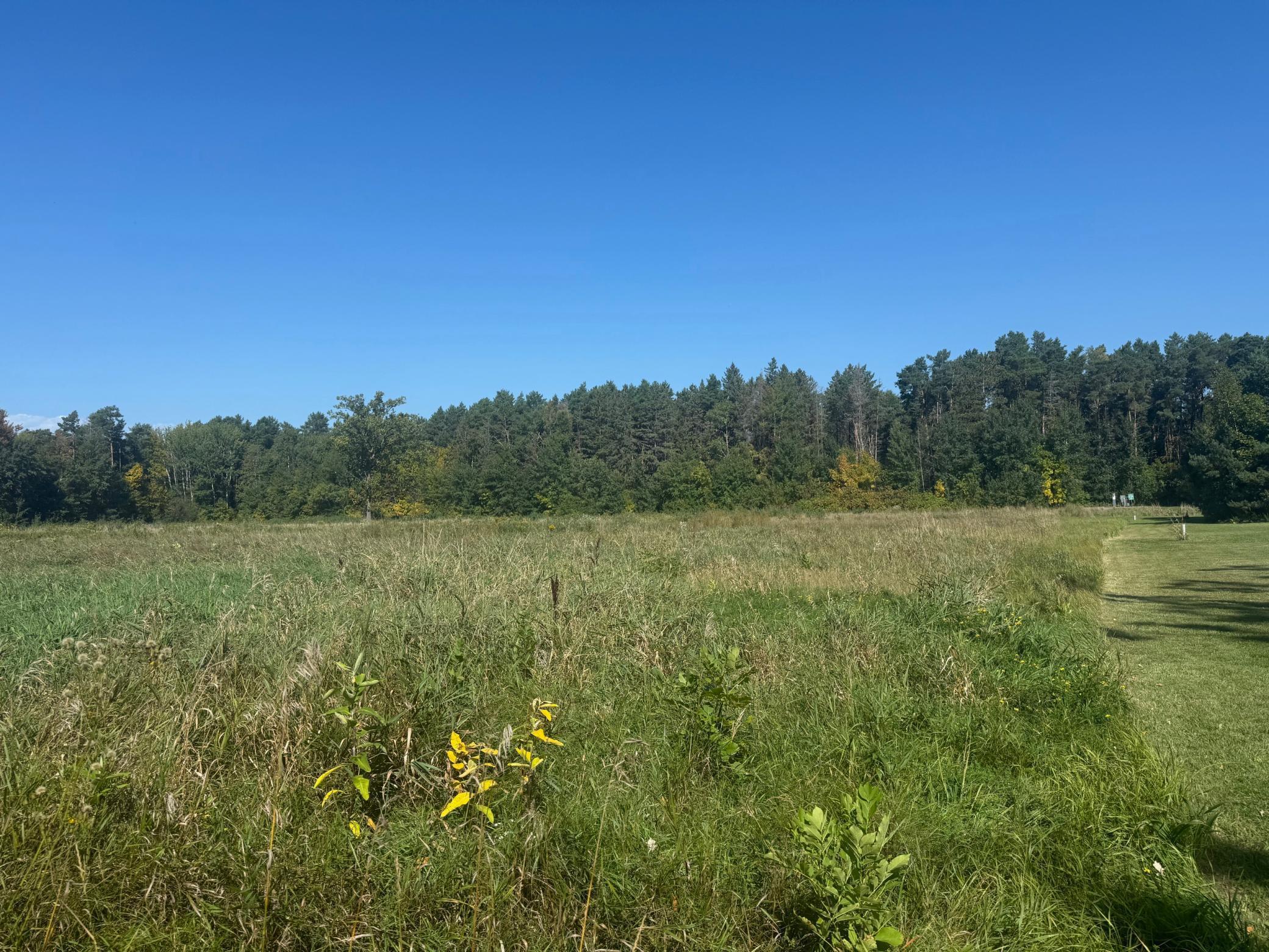 Tbd Lilac Drive Property Photo 5