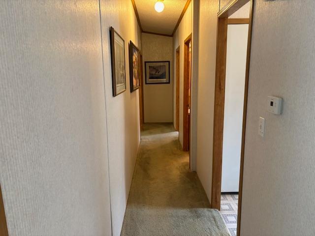 7869 Lunar Lane Property Photo 11