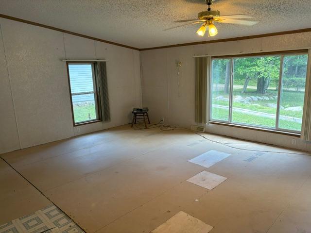 7869 Lunar Lane Property Photo 19