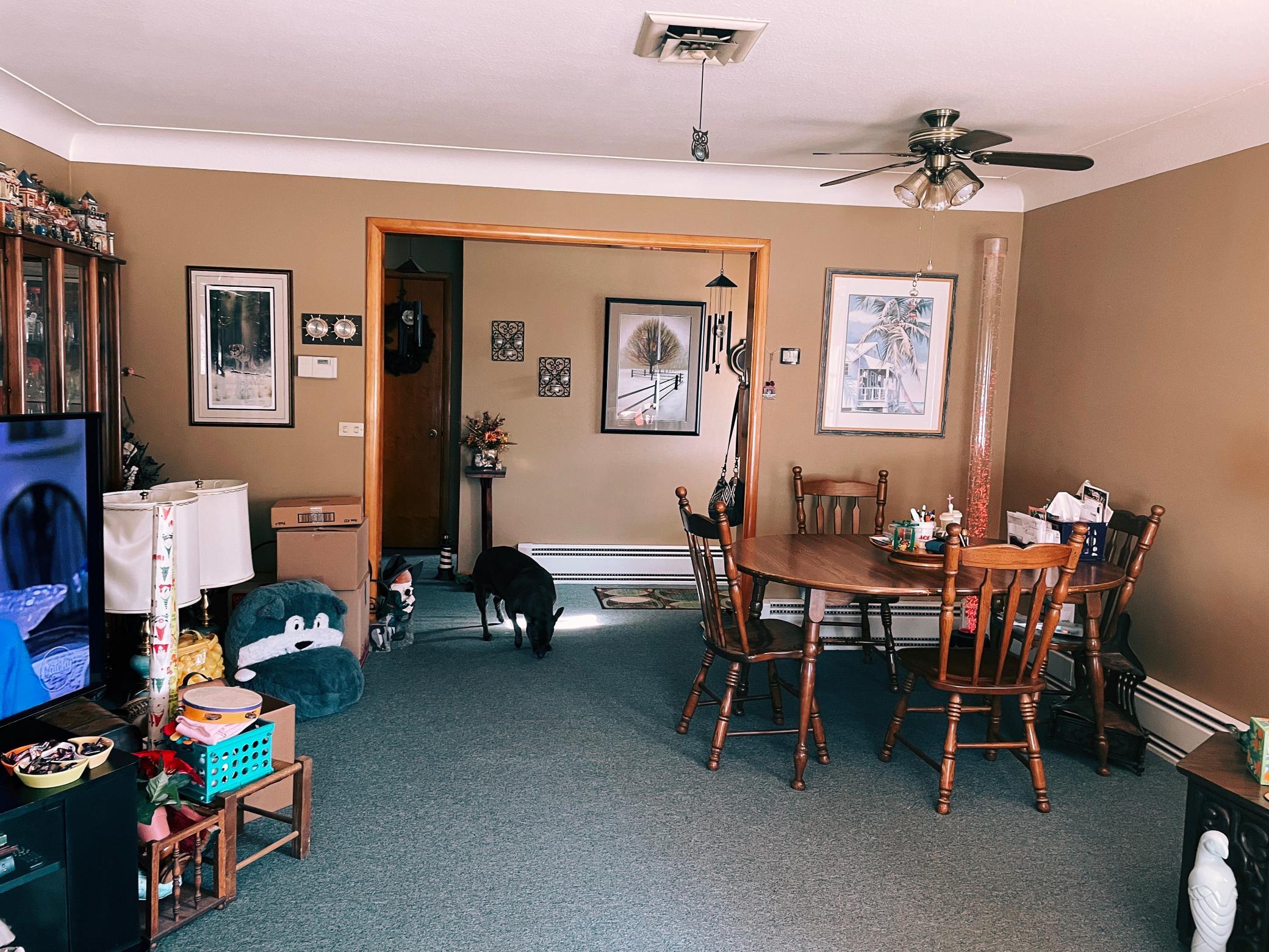 414 Park Street Property Photo 5