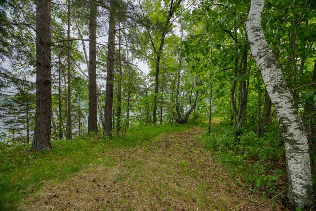 30901 Sunny Beach Road Property Photo 28